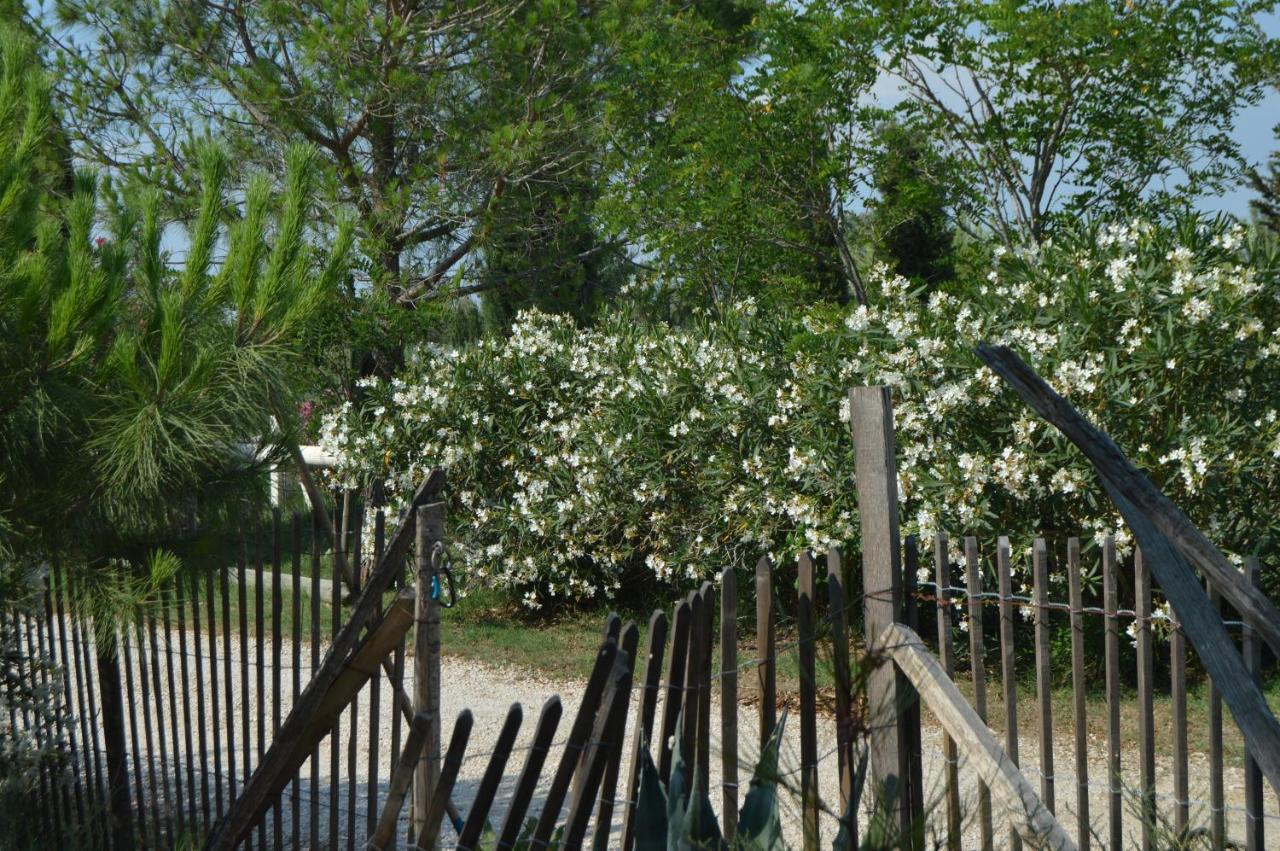 AlbaronBergerie D'Alivon En Camargue住宿加早餐旅馆 外观 照片