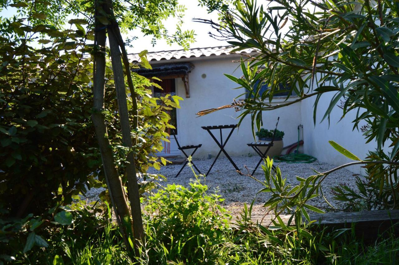 AlbaronBergerie D'Alivon En Camargue住宿加早餐旅馆 外观 照片